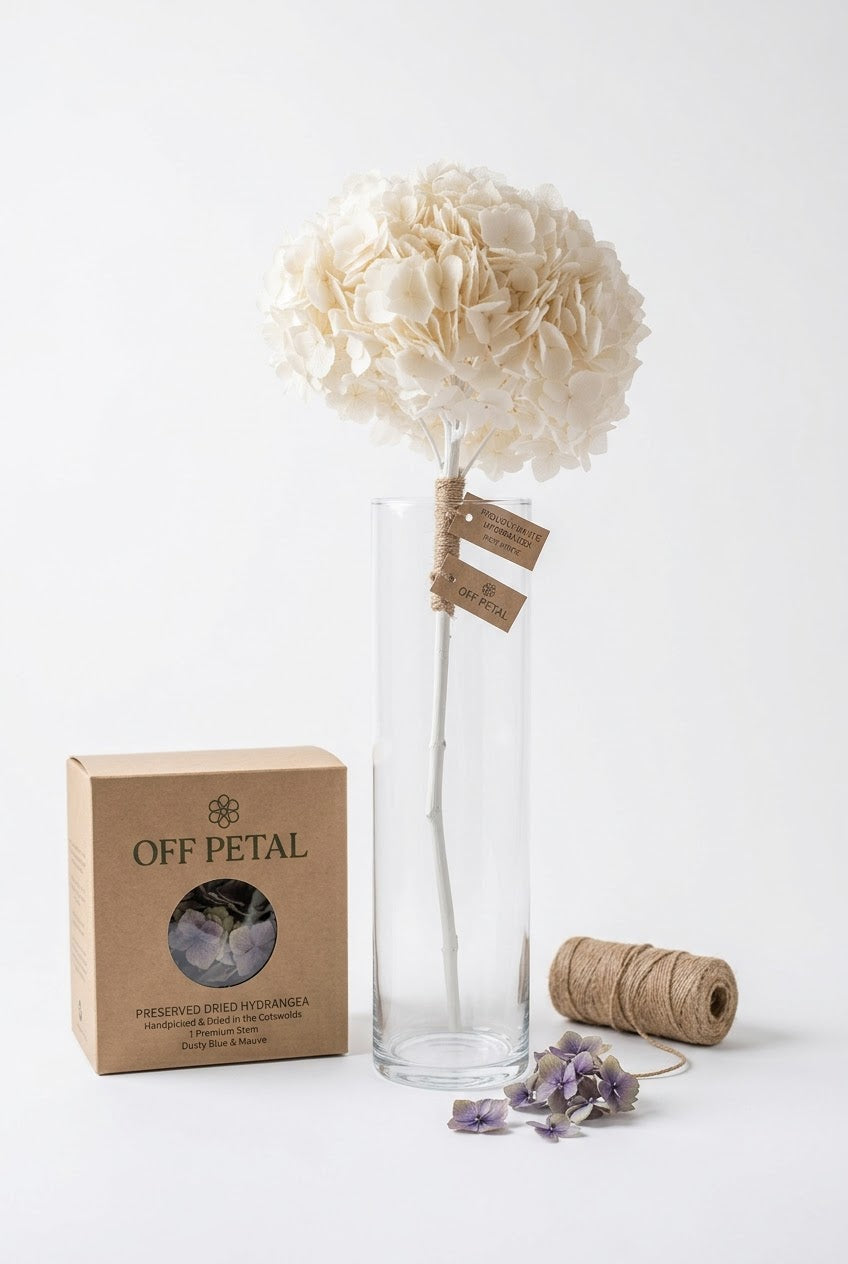 Preserved White Hydrangea Stem – Real Dried Flower, Everlasting Farmhouse Decor